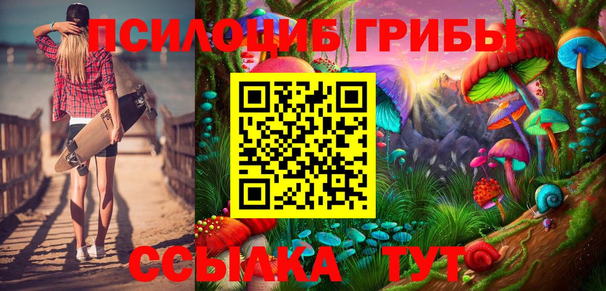 Псилоцибиновые грибы Cubensis  Псилоцибиновые грибы мухоморы  Обь  Вход с VPN 