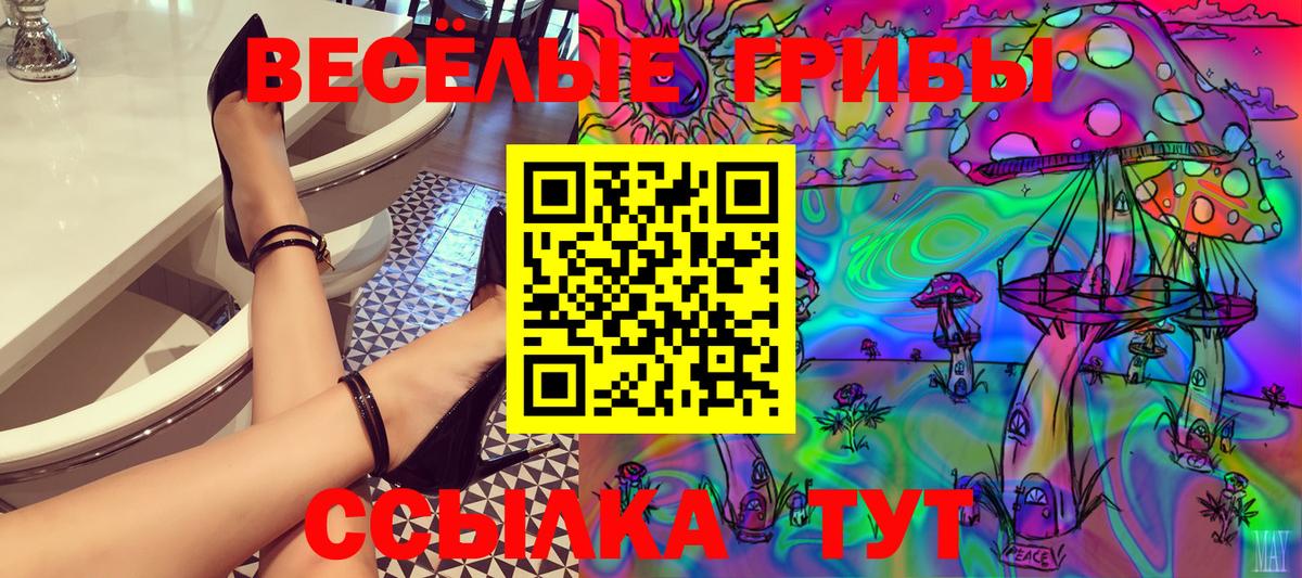 Галлюциногенные грибы Psilocybine cubensis Обь